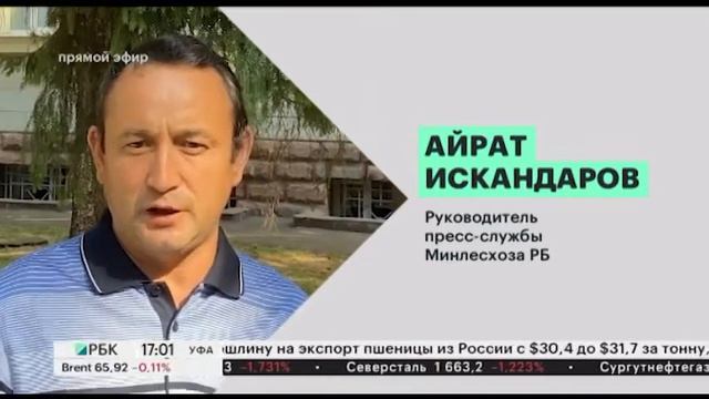 В Башкортостане продолжают гореть 11 лесных участков на площади 380 га смотреть онлайн