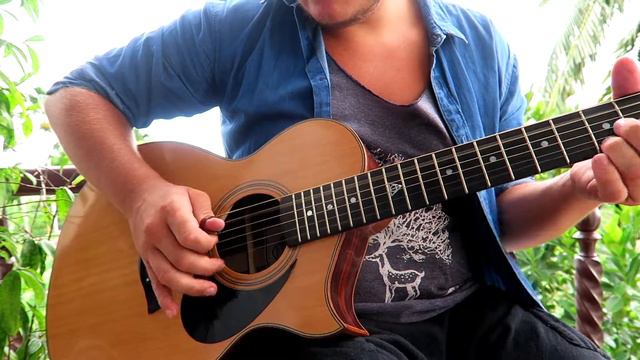 Steelstring Cedar Top with Cutaway - Hoi An Blues смотреть онлайн