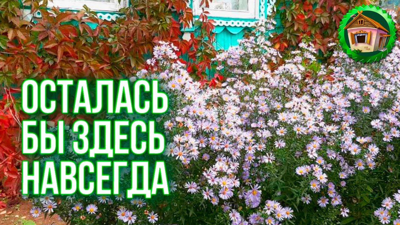 Пересадила яблоню. Погреб Готов к Зиме. Работы в Саду. 101 серия смотреть онлайн