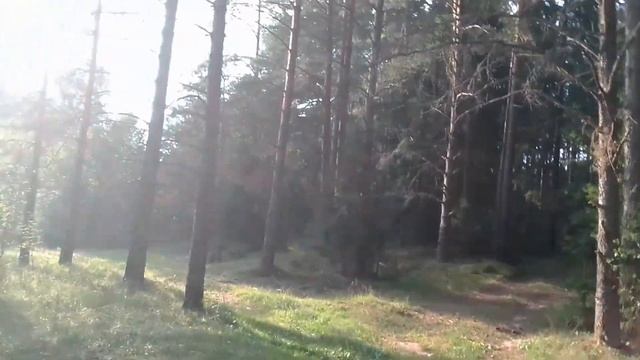 прогулка в лесу#Свежий воздух смотреть онлайн