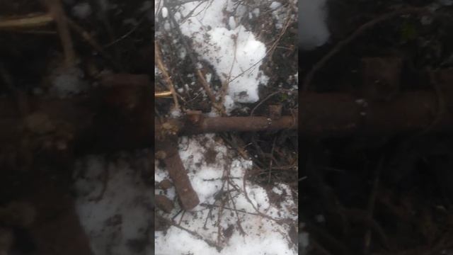 27ноября снег но копать можно земля раздаёт металл на ура