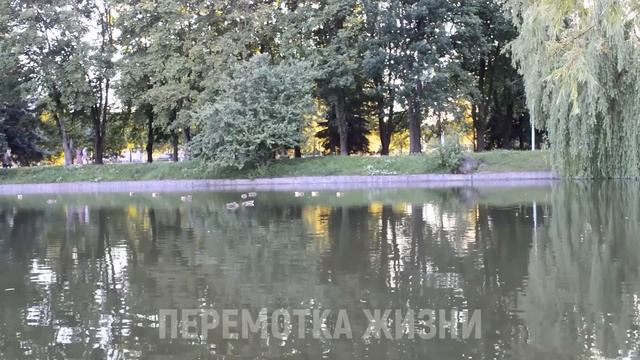 СИЛЬНО ЗАСВЕРБИЛО И ПОШЛА ВО ВСЕ ТЯЖКИЕ. Истории из жизни людей Аудио рассказы слушать смотреть онлайн