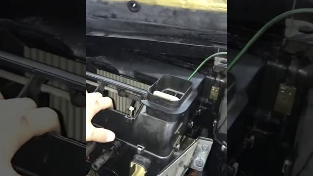 Будущее в доме