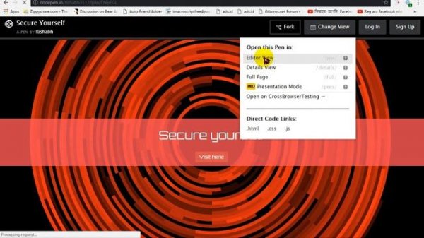 How to Download script from Codepen.io