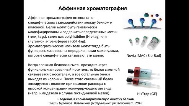Занятие 5 - Аффинная хроматография смотреть онлайн