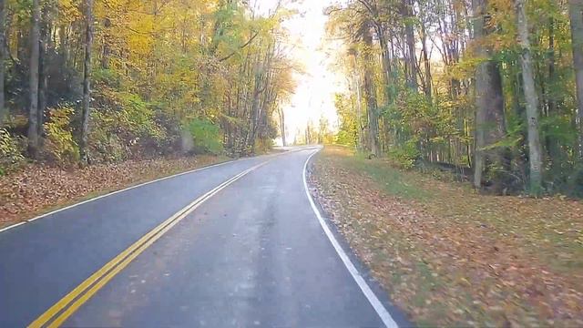 2022 SMOKIES FALL COLOR | NEWFOUND GAP ROAD смотреть онлайн