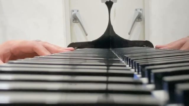 【ͮErik Satie: Vexations, 527-533】 смотреть онлайн