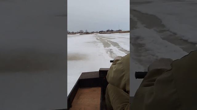 Пчеловодство В ХМАО с. Зенково. Первая пасека на реке Обь! смотреть онлайн