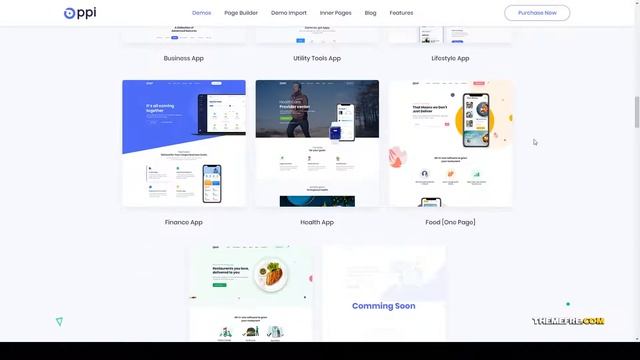 Oppi - Multi-Niche App Showcase WordPress Theme social media app landing page Easy Create Website смотреть онлайн