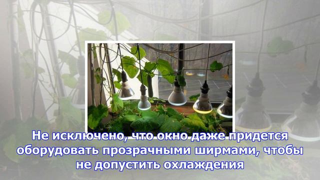 Успехи и достижения