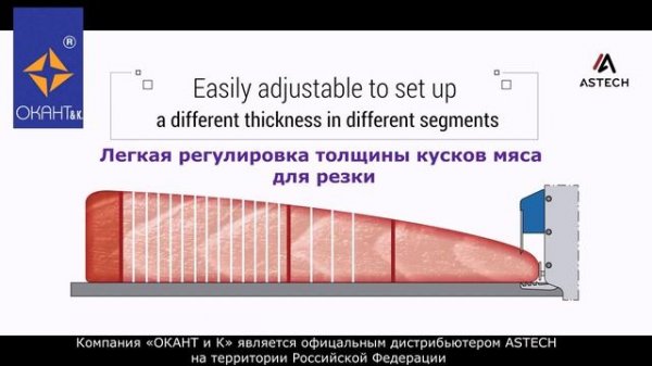 Автоматическая ленточнопильная пила ASTECH для нарезки мяса и костей.
