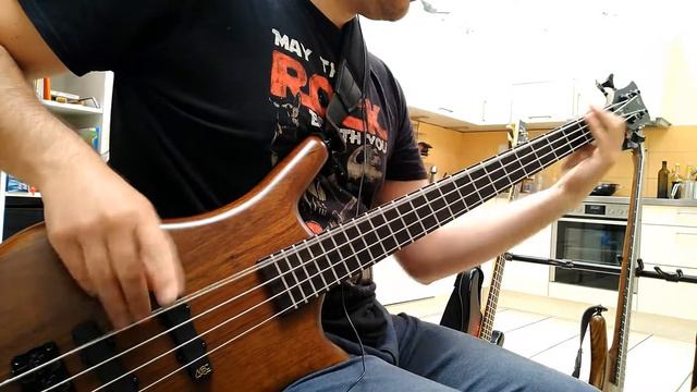 WAIT AND BLEED / SLIPKNOT - BASS COVER смотреть онлайн