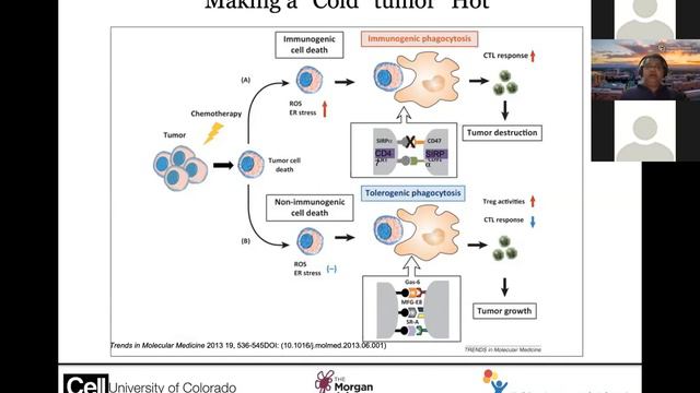 Macrophage Immunotherapy Against Pediatric Brain Cancers смотреть онлайн