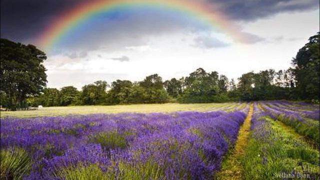 Добрым людям , добрый вечер ! смотреть онлайн