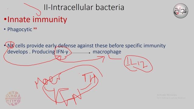 Immune response to infection , micro , tut 1 смотреть онлайн