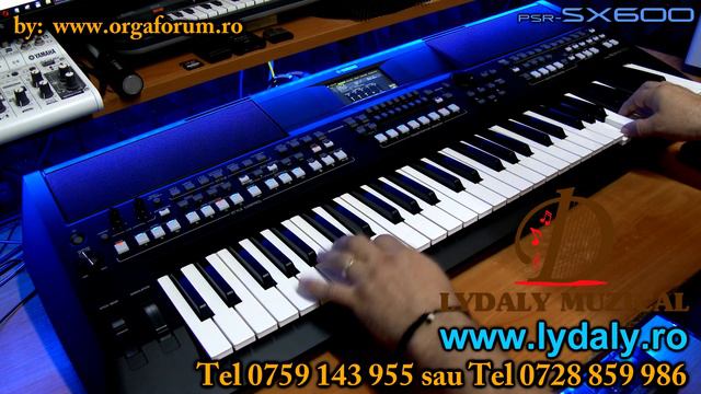 DEMO ethnic folclor YAMAHA PSR SX600 by IULIK смотреть онлайн