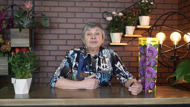 Где посадить розы ? Советы от garden zoo смотреть онлайн