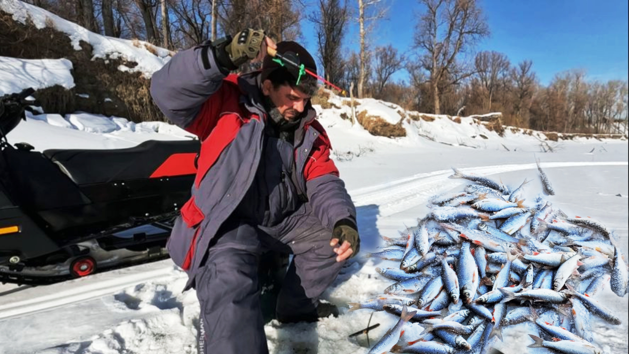 ХОТЬ МЕЛОЧЬ , НО ВДОВОЛЬ !!! Рыбалка на Оби ( Сузун ) 7 февраля 2024г. смотреть онлайн