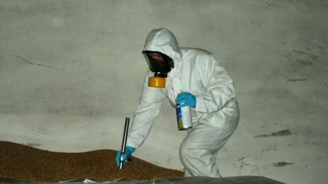 Жуки в дереве ! Как с ними бороться ! смотреть онлайн