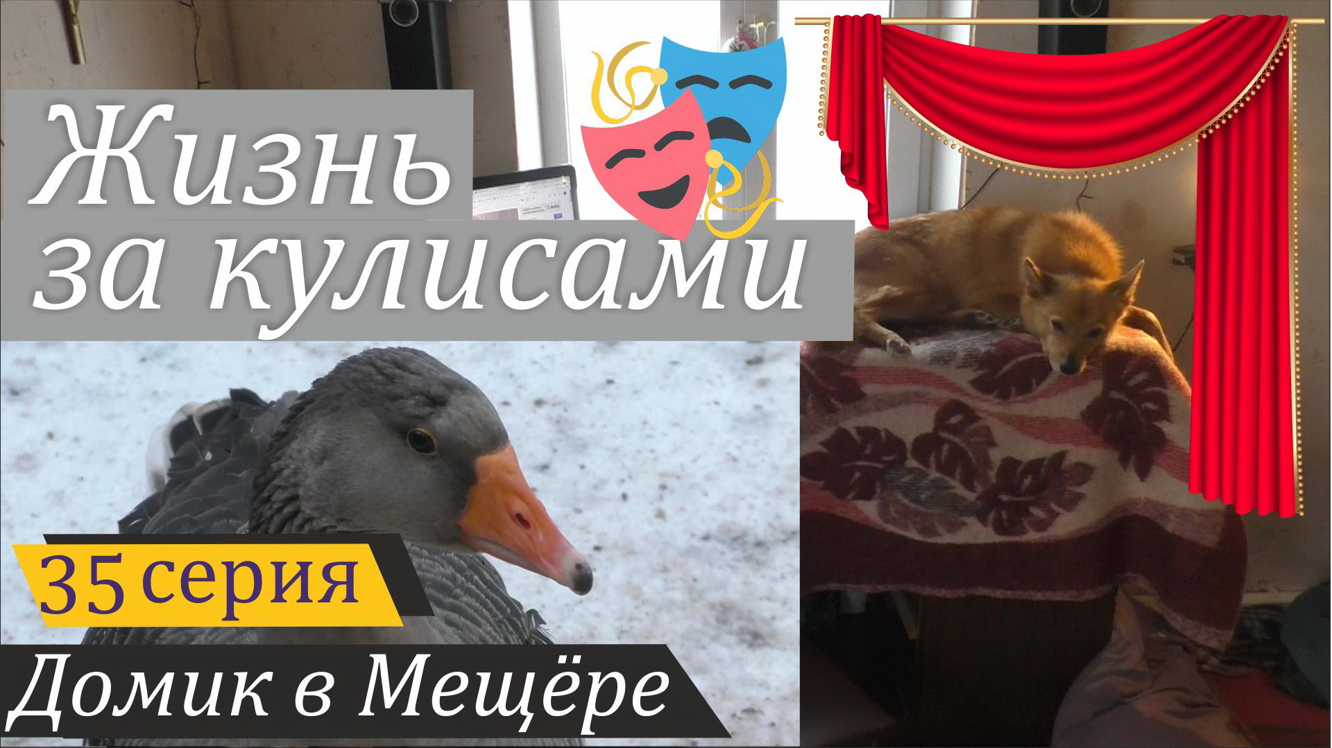 Чем я кормлю Аську и как различаю гусей в лицо. Домик в Мещёре, серия 35 смотреть онлайн