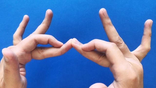 How to make a SNAKE ? Puppet with your Hands смотреть онлайн