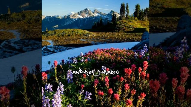 Потап и Настя - Чумачечая весна [Текст] смотреть онлайн