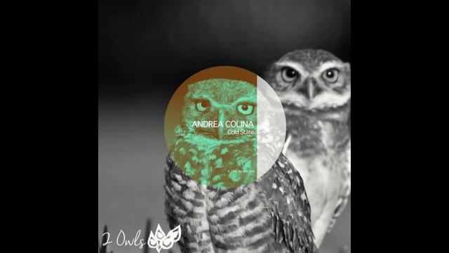 Andrea Colina - Temp 7067 (Original Mix) смотреть онлайн