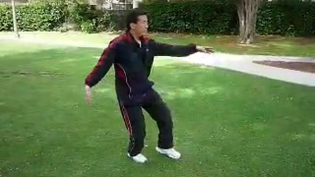Yang Style Tai Chi Chuan 108 Section 1