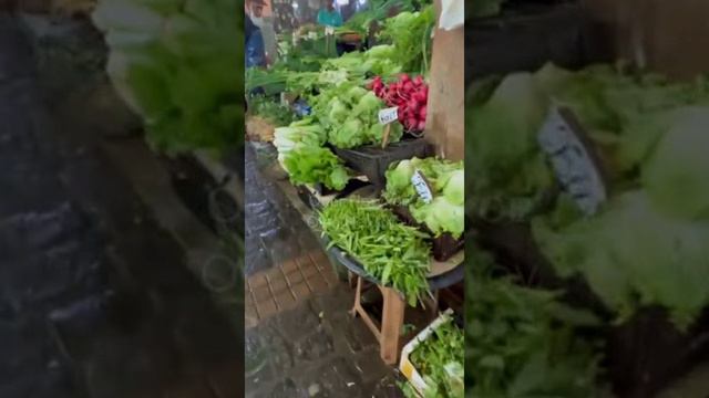 Маврикий. Mauritius. 毛里求斯。 смотреть онлайн