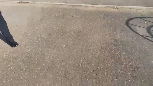 Чиновникам поставили «НЕУД»: в Астрахань приехала координатор по благоустройству ОНФ. Село Яксатово смотреть онлайн