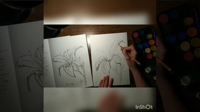 Мастер-класс № 5 "Лилия" из серии "Рисуем цветы" смотреть онлайн