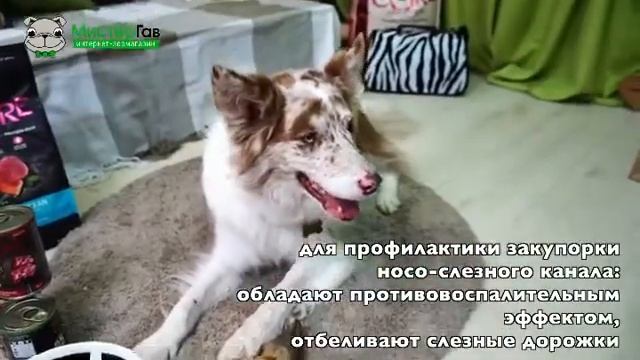 УХОД ЗА ГЛАЗАМИ ? смотреть онлайн