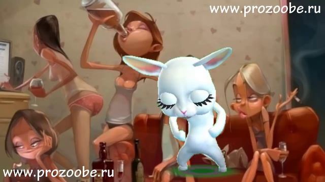 А не хрен нам ставить условия Прикол от Зайки Домашней Хозяйки смотреть онлайн