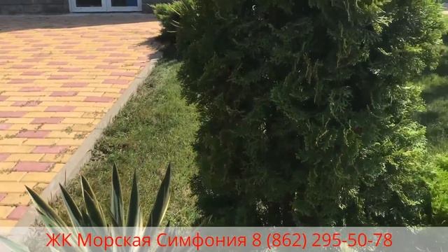 ЖК Морская Симфония - 8(862)295-50-78 - Придомовая территория - Официальный партнер сайт - Сочи смотреть онлайн