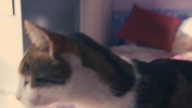 Swingers L Swinging As A 67-Year-Old L Monday 10pm