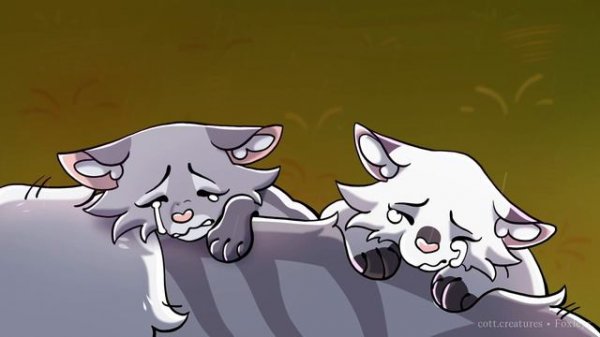 All Is Found | COMPLETE Warrior Cats Bluestar MAP