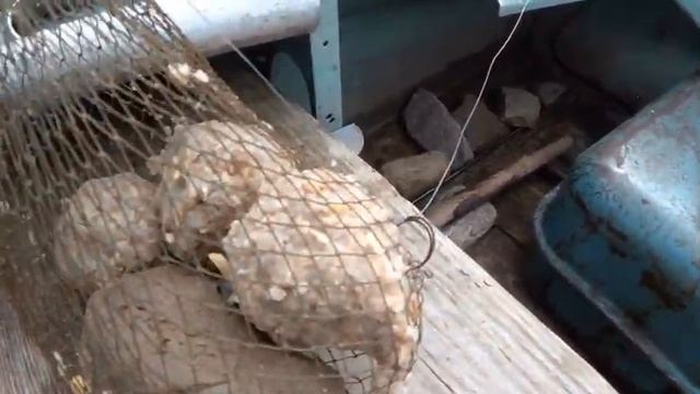 Рыбалка с лодки на колокольцы! смотреть онлайн