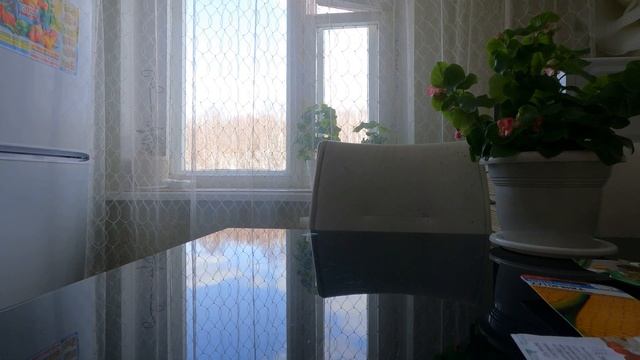 Покупка семян в магазине СЕМЕНА СИБИРИ в городе Красноярск и обзор семян на сезон 2023 смотреть онлайн