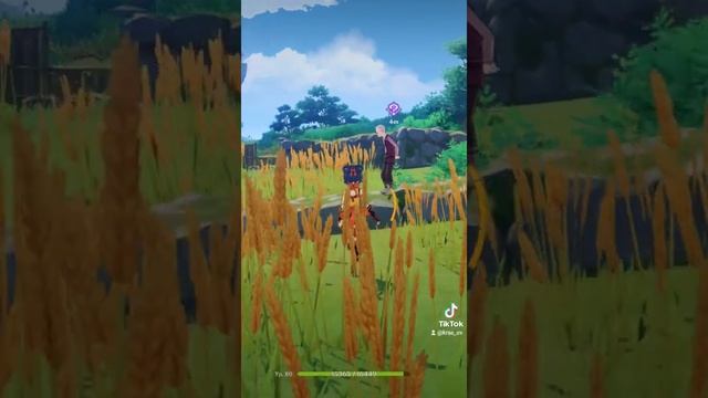 Ежедневки Инадзумы с достижениями. Genshin impact смотреть онлайн