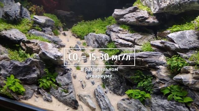 Углекислый газ CO2 в аквариуме Нормы, влияние, контроль смотреть онлайн