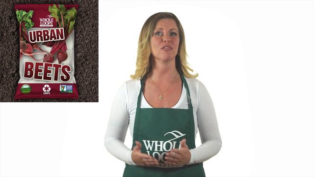 Best Synth Plugins смотреть онлайн