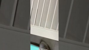 Как качественно покрасить жалюзийные двери