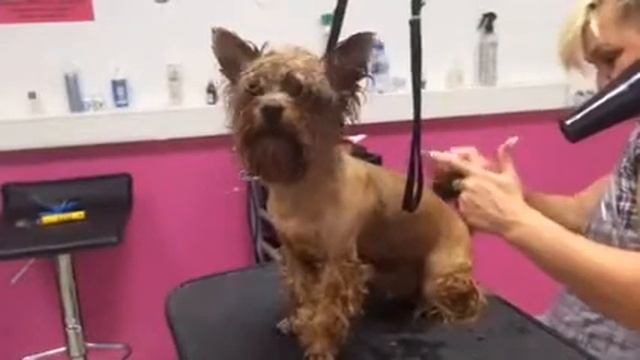 Video 0 02 01 Ea175a92d04aa016c58b51470a8ac80e3dc3ead270030a0a0743ce4ab9548abf V