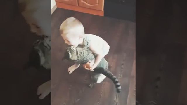 Детей любят не только люди! смотреть онлайн