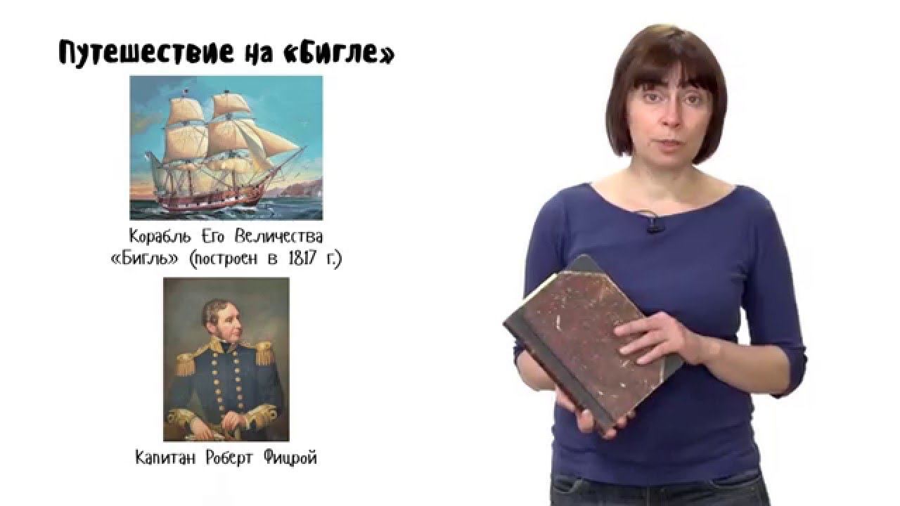 Эволюция. Лекция 2. Эволюционная теория Чарльза Дарвина. Часть 2. 10 - 11 класс смотреть онлайн