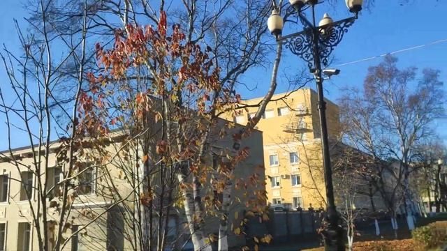 Крик далеких журавлей (исп.А.Цаплин) смотреть онлайн
