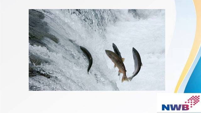 Астаксантин 20 06 19 Смирнова Анна смотреть онлайн