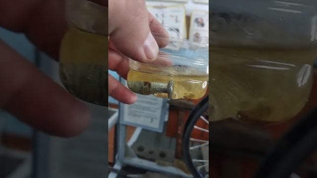 Лимонная кислота против ржавчины. часть 2 смотреть онлайн