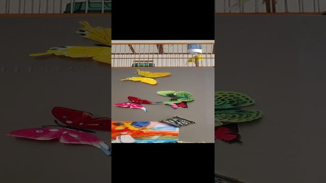 Пение Кенара (канарейки русской)