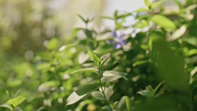 Когда апнул уровень во время БИТВЫ С БОССОМ - EPIC NPC MAN на Русском смотреть онлайн